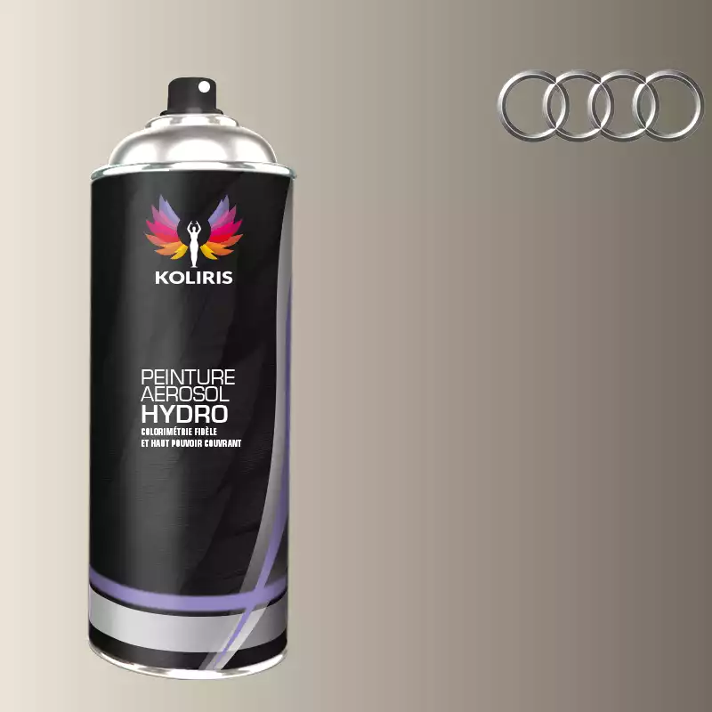 Bombe de peinture voiture hydro Audi 400ml