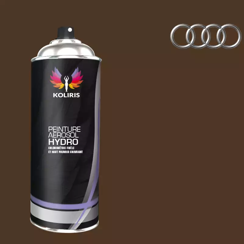 Bombe de peinture voiture hydro Audi 400ml