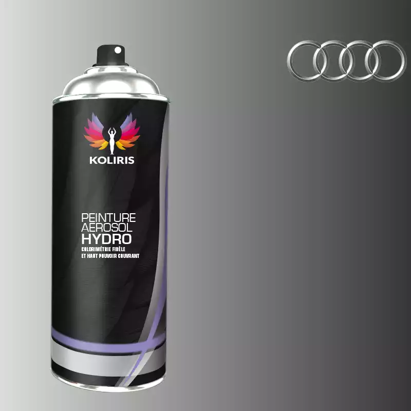 Bombe de peinture voiture hydro Audi 400ml