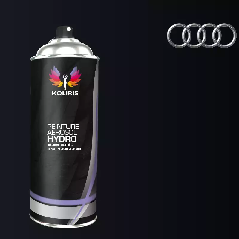 Bombe de peinture voiture hydro Audi 400ml