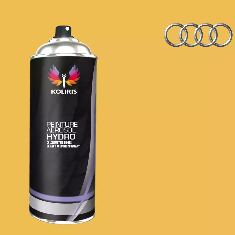 Bombe de peinture voiture hydro Audi 400ml