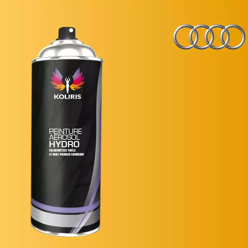 Bombe de peinture voiture hydro Audi 400ml