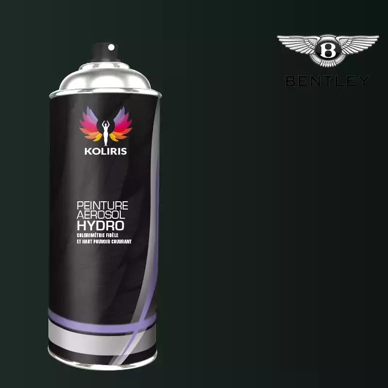 Bombe de peinture voiture hydro Bentley 400ml