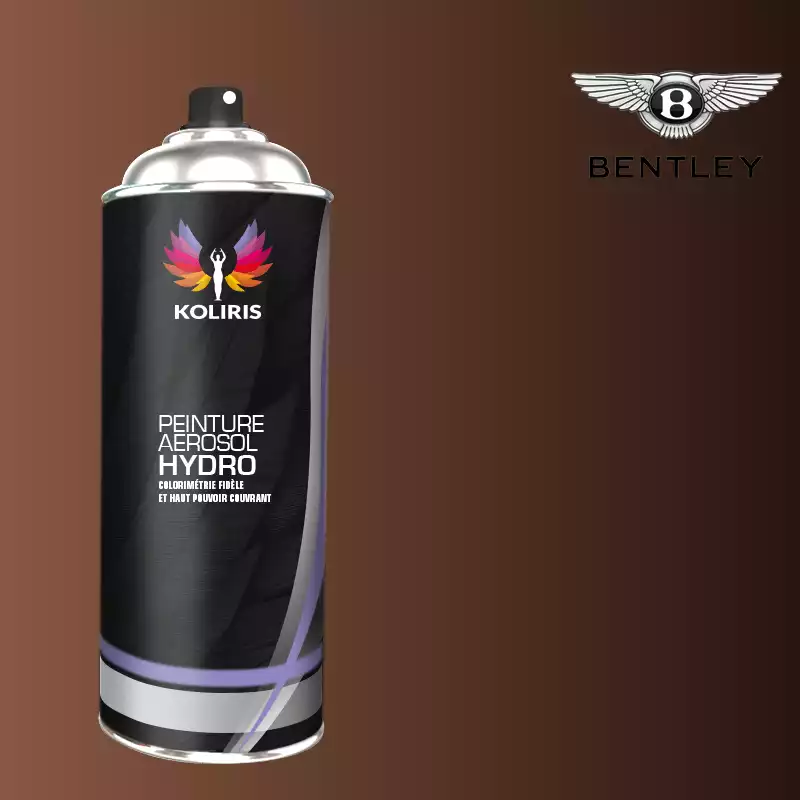 Bombe de peinture voiture hydro Bentley 400ml