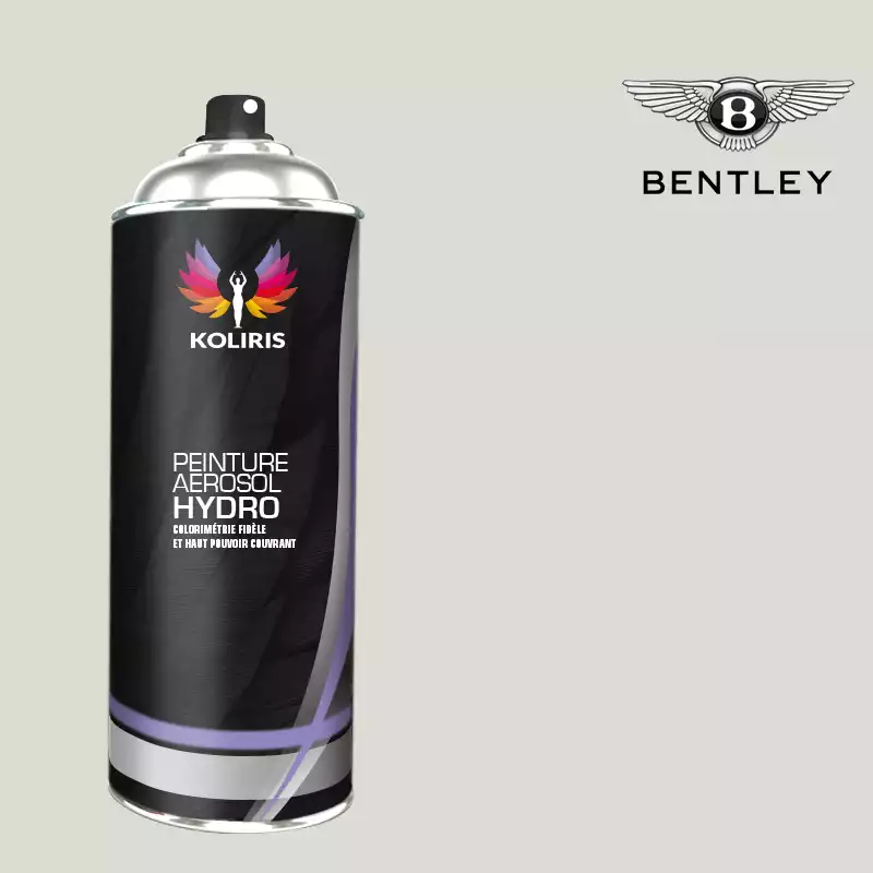 Bombe de peinture voiture hydro Bentley 400ml