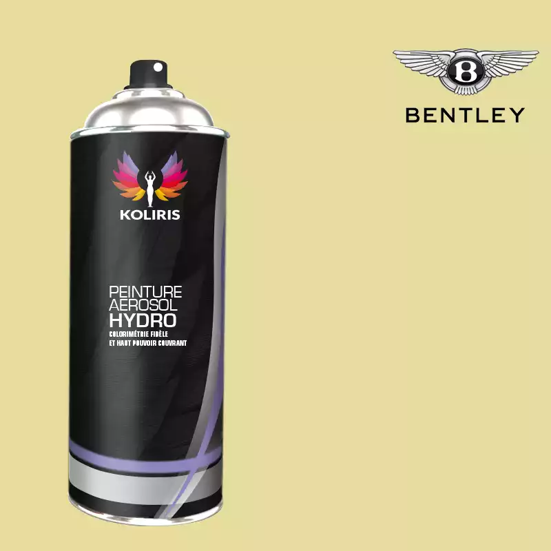 Bombe de peinture voiture hydro Bentley 400ml