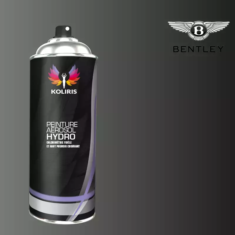 Bombe de peinture voiture hydro Bentley 400ml