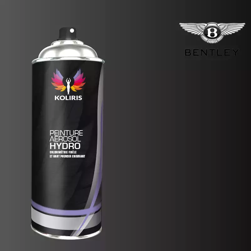 Bombe de peinture voiture hydro Bentley 400ml