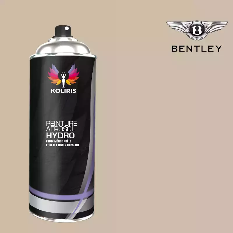 Bombe de peinture voiture hydro Bentley 400ml