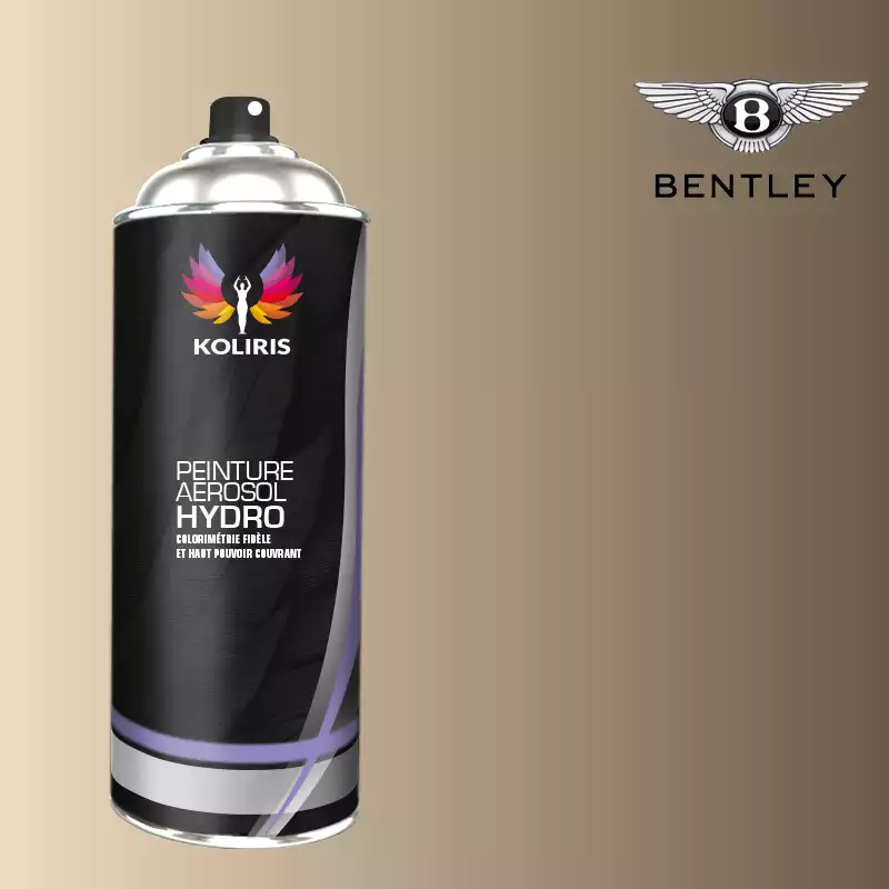 Bombe de peinture voiture hydro Bentley 400ml