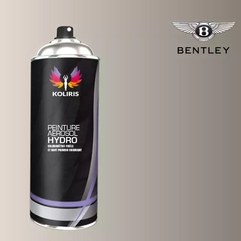 Bombe de peinture voiture hydro Bentley 400ml