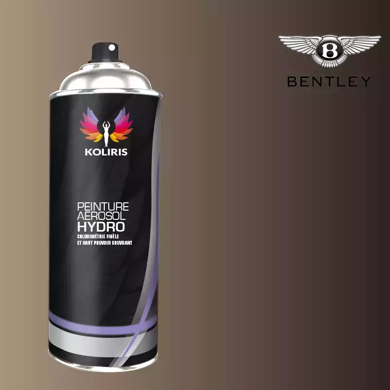 Bombe de peinture voiture hydro Bentley 400ml