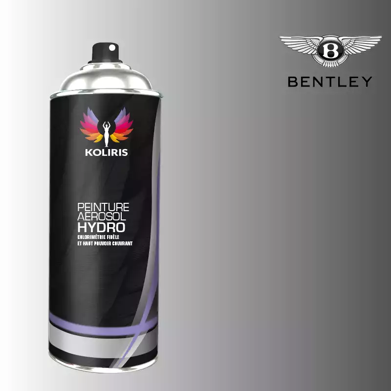 Bombe de peinture voiture hydro Bentley 400ml