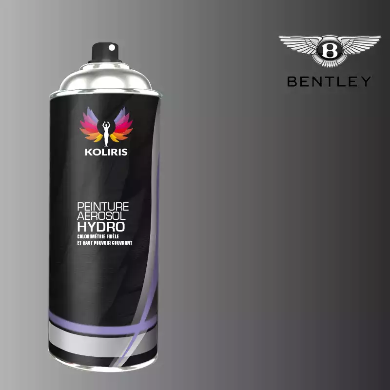 Bombe de peinture voiture hydro Bentley 400ml