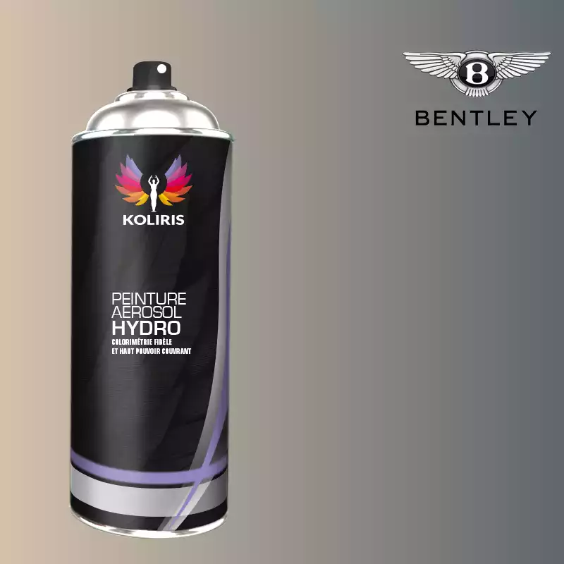 Bombe de peinture voiture hydro Bentley 400ml