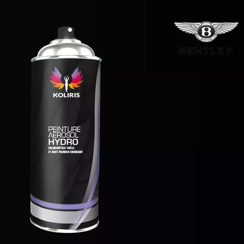 Bombe de peinture voiture hydro Bentley 400ml