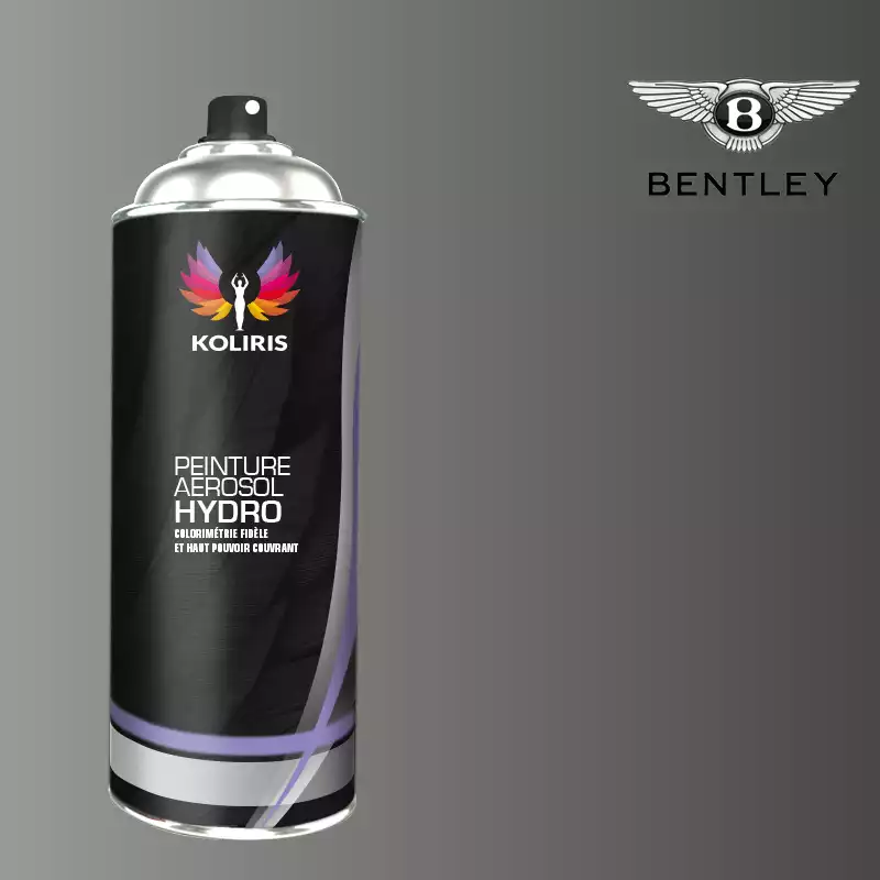 Bombe de peinture voiture hydro Bentley 400ml