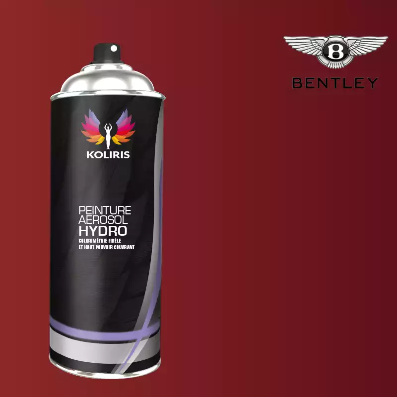 Bombe de peinture voiture hydro Bentley 400ml
