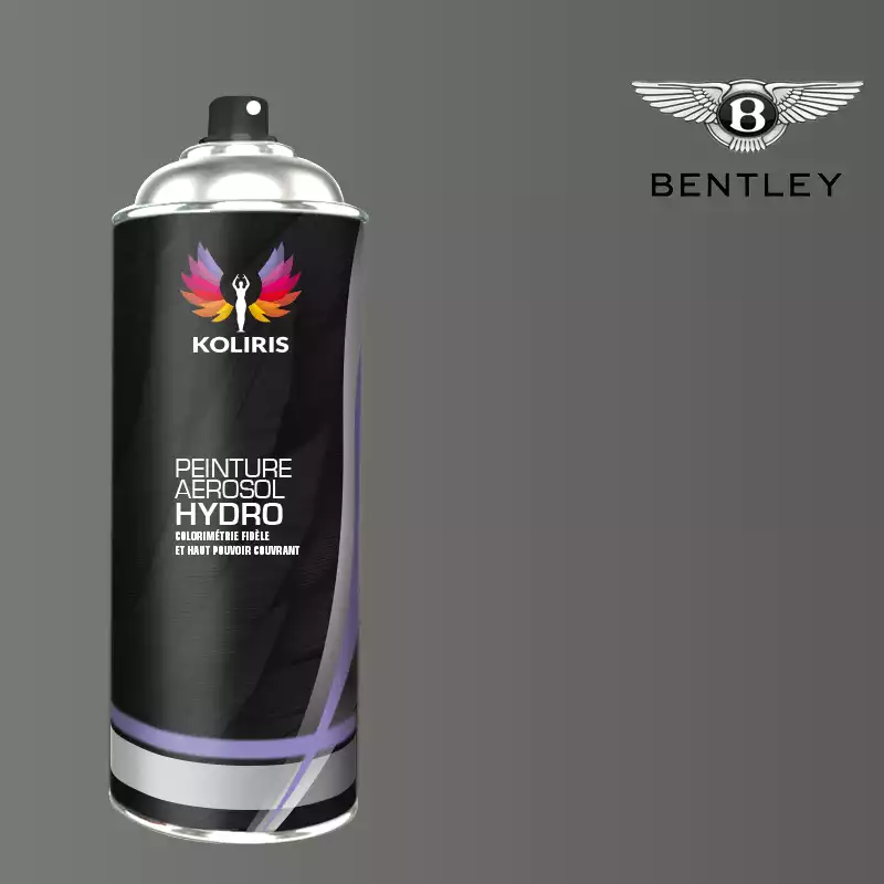 Bombe de peinture voiture hydro Bentley 400ml