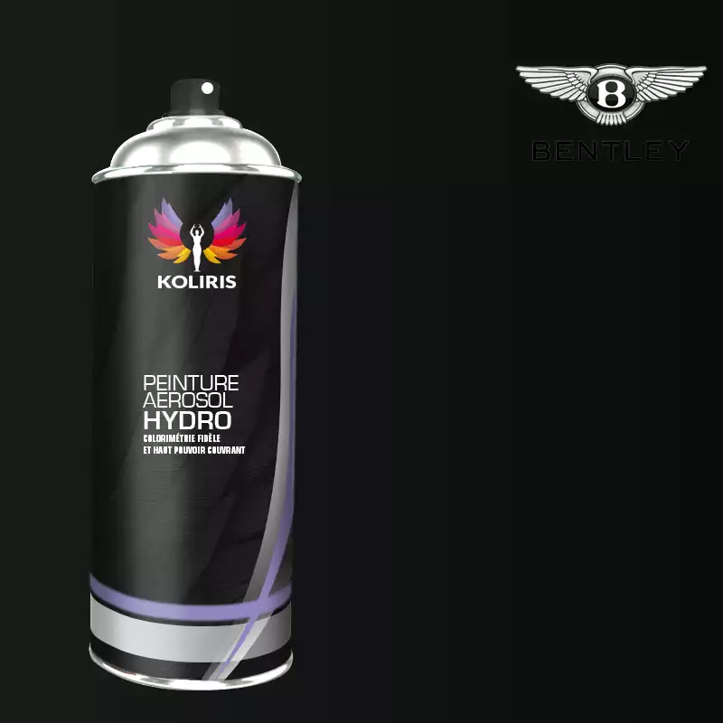 Bombe de peinture voiture hydro Bentley 400ml