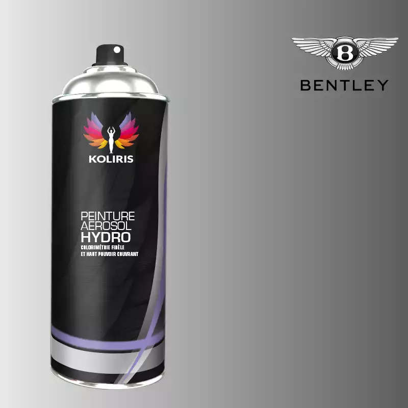 Bombe de peinture voiture hydro Bentley 400ml