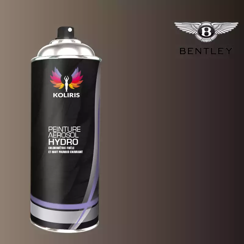 Bombe de peinture voiture hydro Bentley 400ml