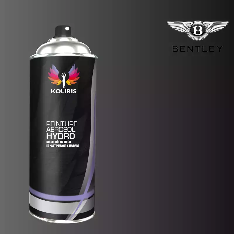 Bombe de peinture voiture hydro Bentley 400ml