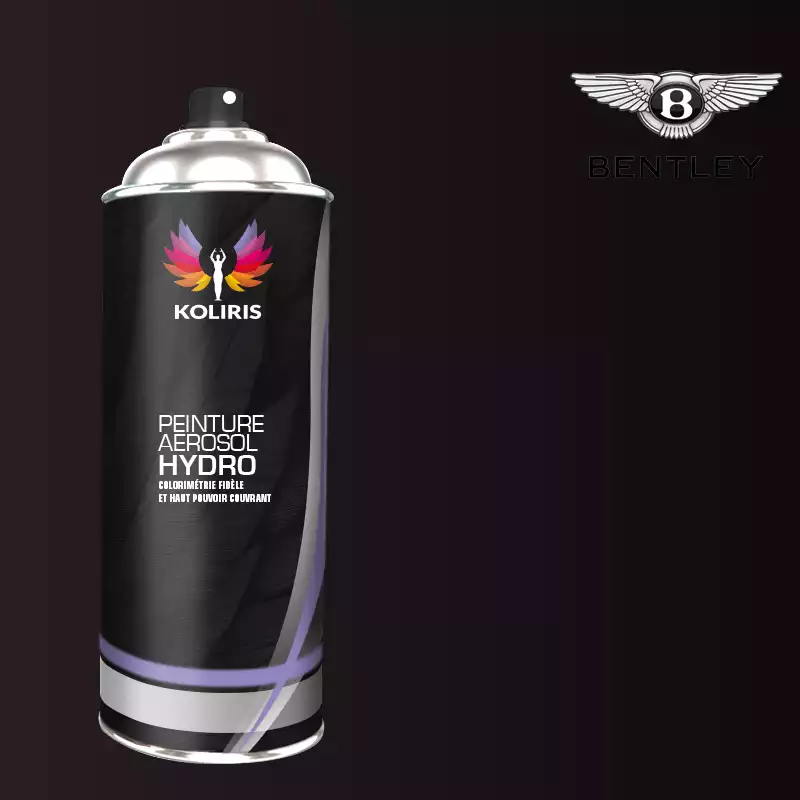 Bombe de peinture voiture hydro Bentley 400ml