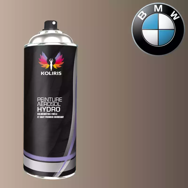 Bombe de peinture voiture hydro Bmw 400ml