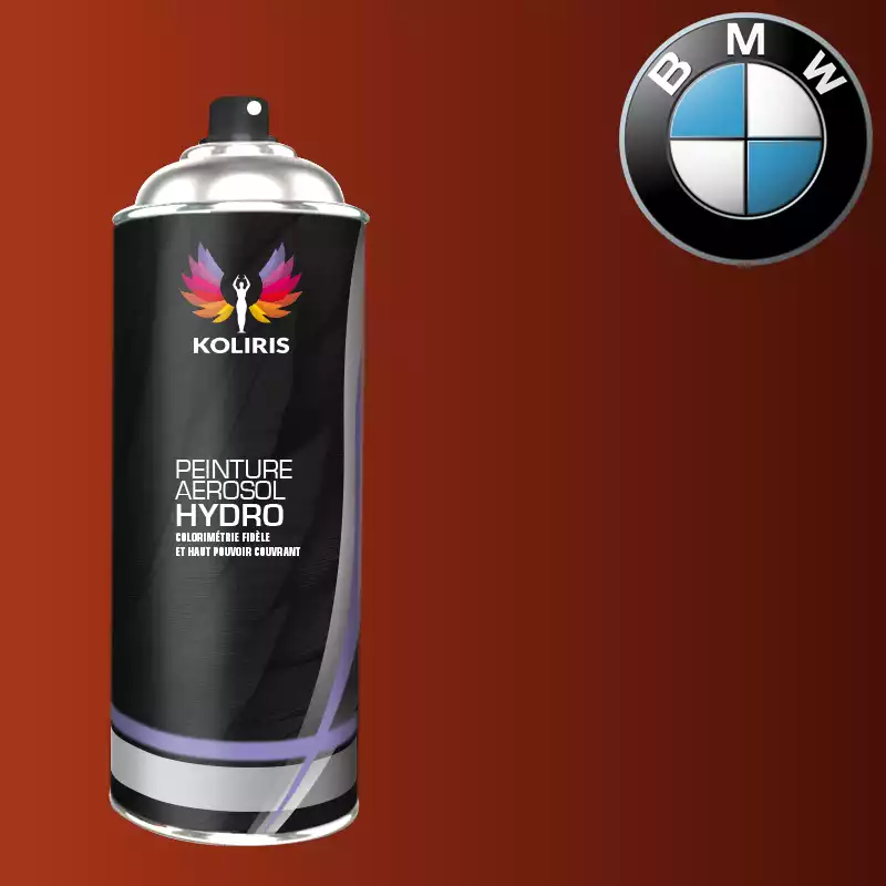 Bombe de peinture voiture hydro Bmw 400ml