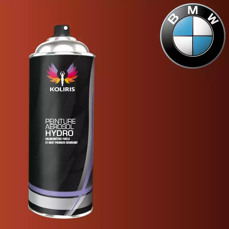 Bombe de peinture voiture hydro Bmw 400ml