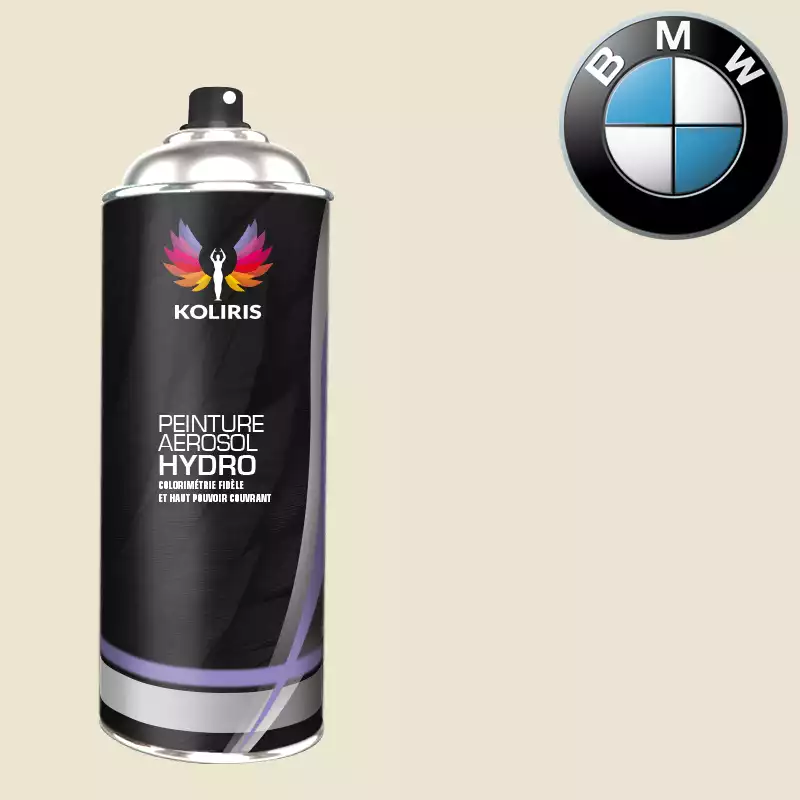 Bombe de peinture voiture hydro Bmw 400ml