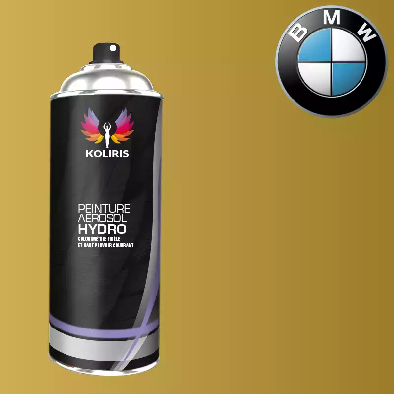 Bombe de peinture voiture hydro Bmw 400ml