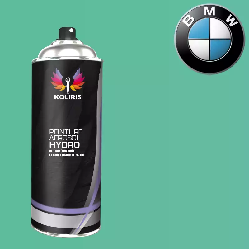 Bombe de peinture voiture hydro Bmw 400ml