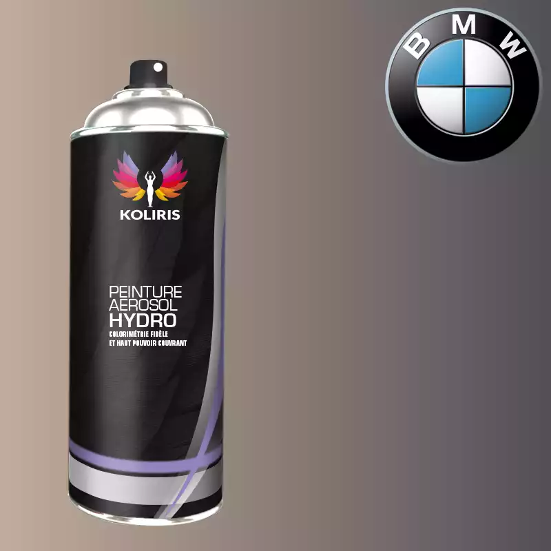 Bombe de peinture voiture hydro Bmw 400ml