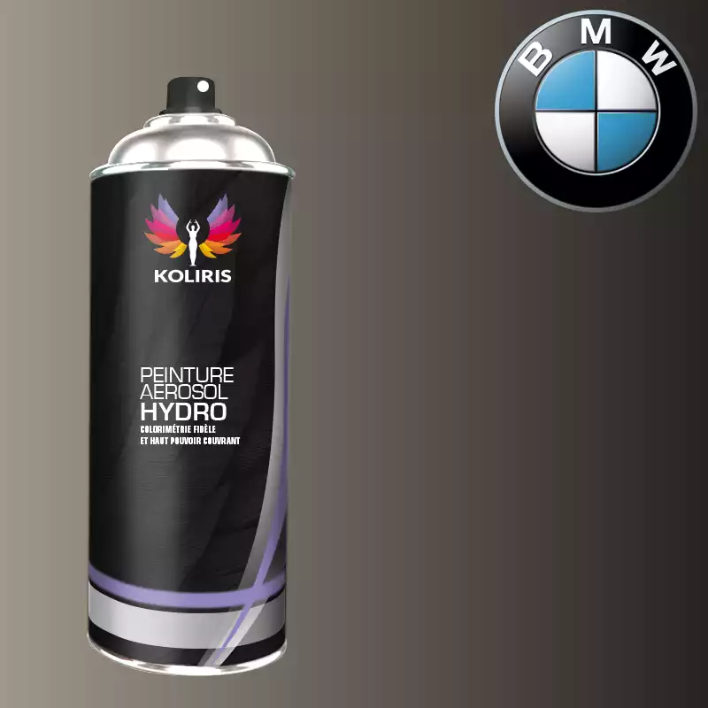 Bombe de peinture voiture hydro Bmw 400ml