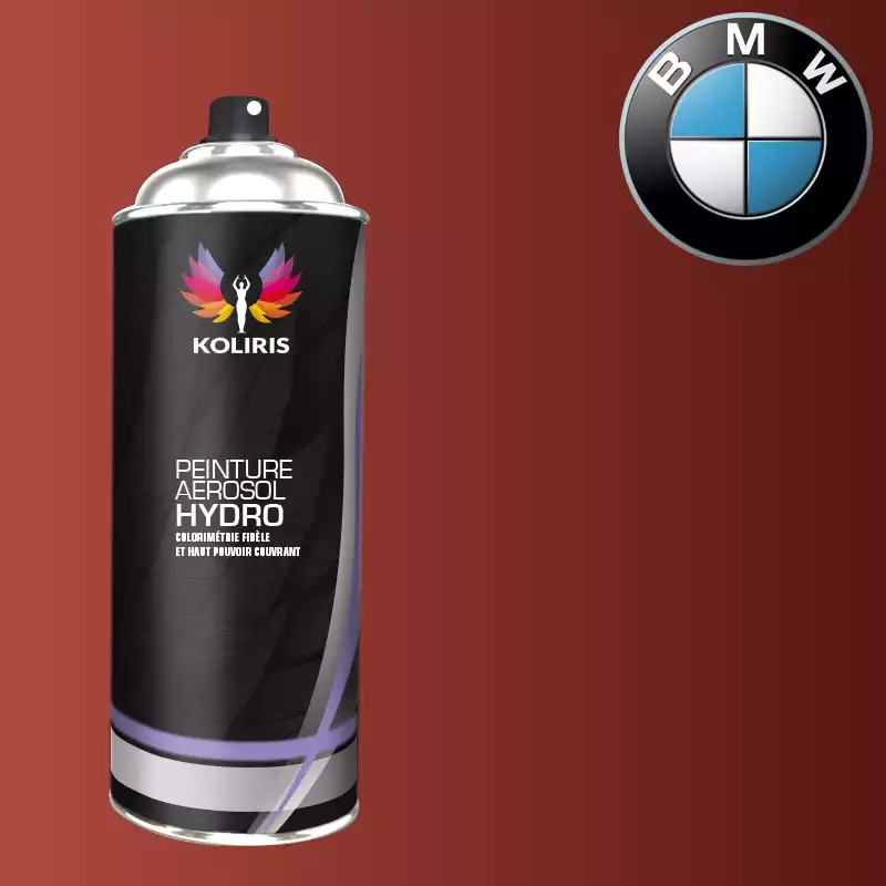 Bombe de peinture voiture hydro Bmw 400ml