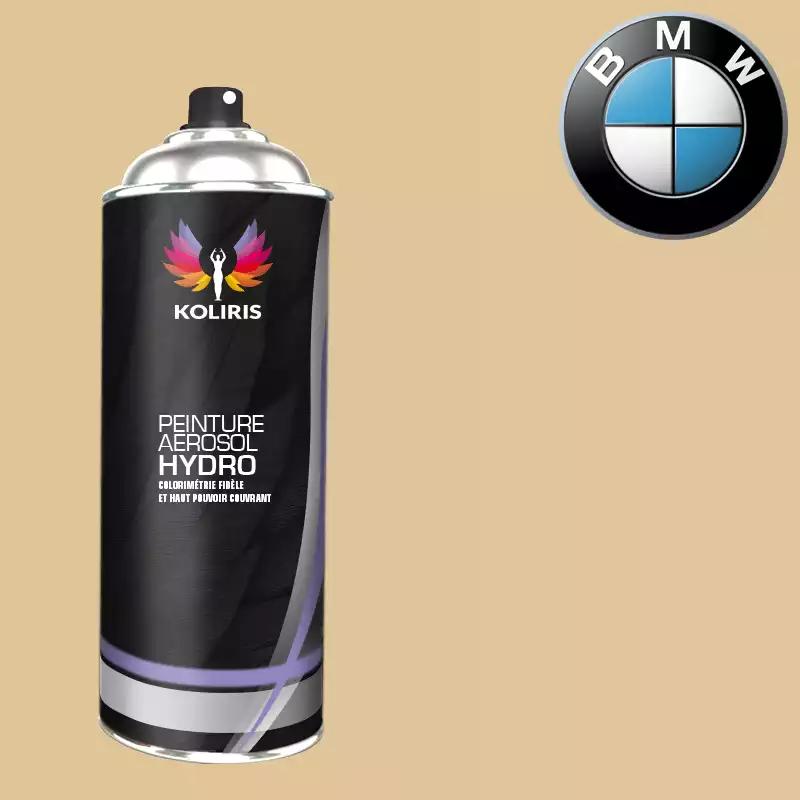 Bombe de peinture voiture hydro Bmw 400ml