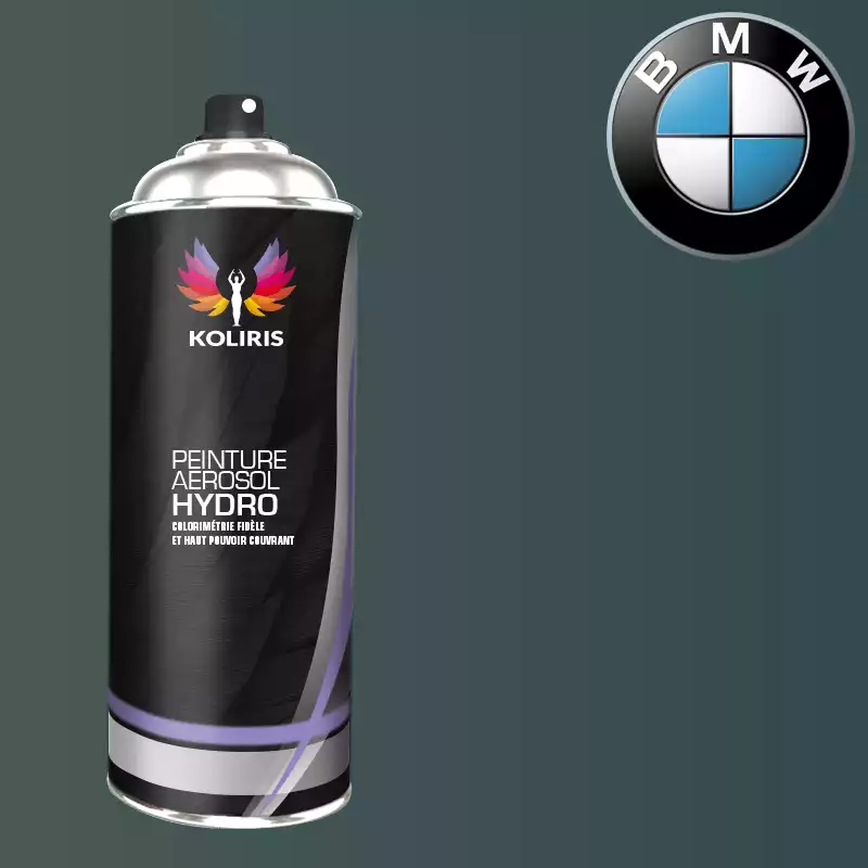 Bombe de peinture voiture hydro Bmw 400ml