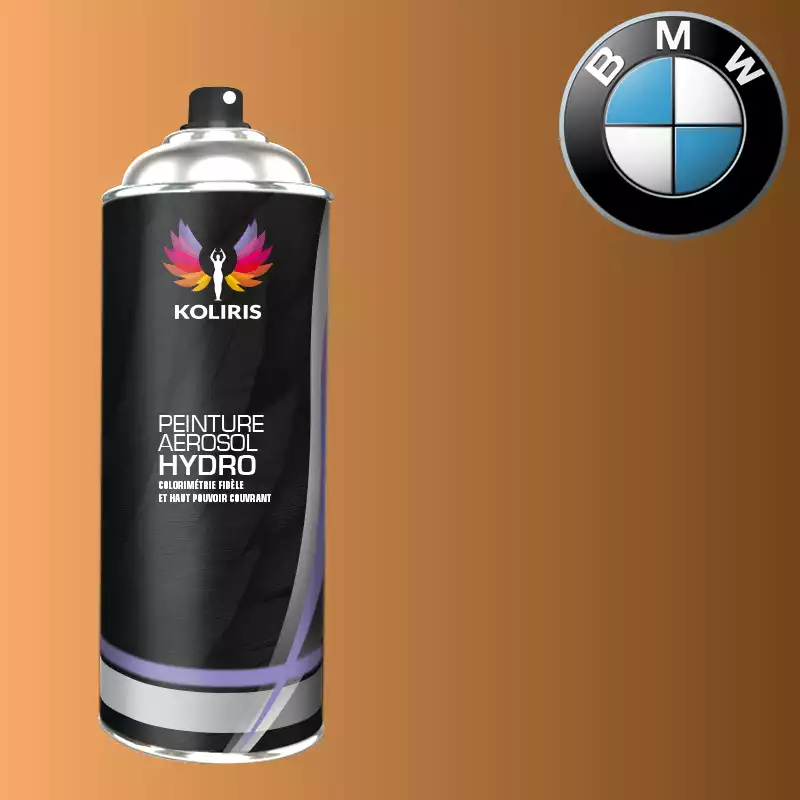 Bombe de peinture voiture hydro Bmw 400ml