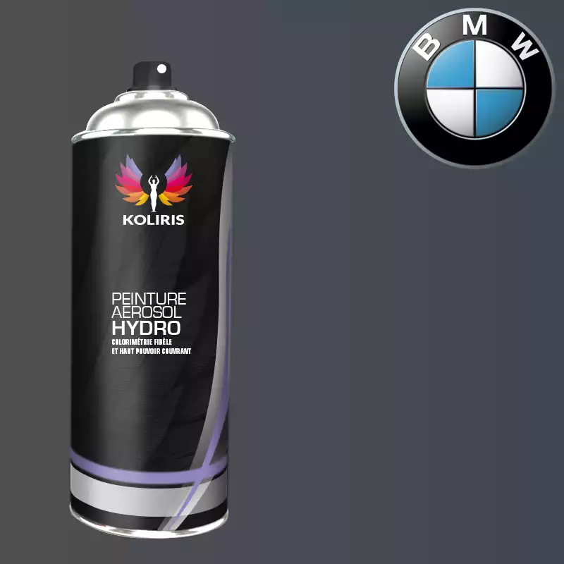 Bombe de peinture voiture hydro Bmw 400ml