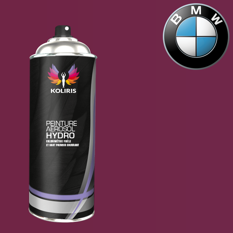 Bombe de peinture voiture hydro Bmw 400ml