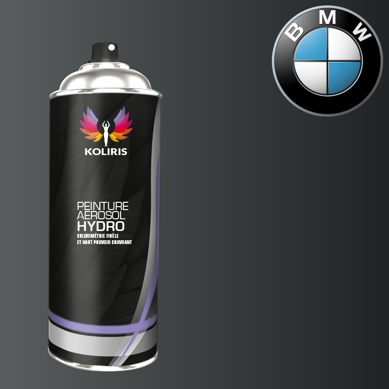 Bombe de peinture voiture hydro Bmw 400ml