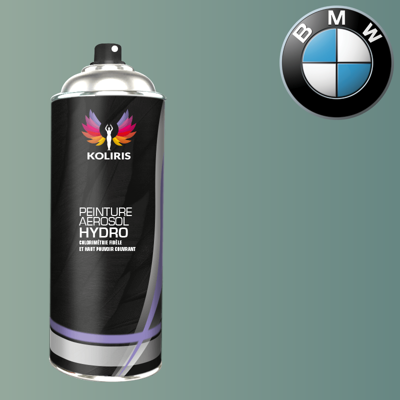 Bombe de peinture voiture hydro Bmw 400ml