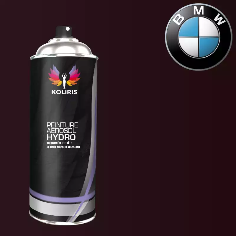 Bombe de peinture voiture hydro Bmw 400ml