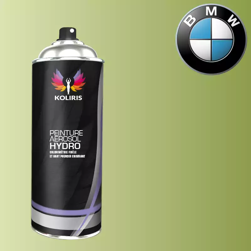 Bombe de peinture voiture hydro Bmw 400ml