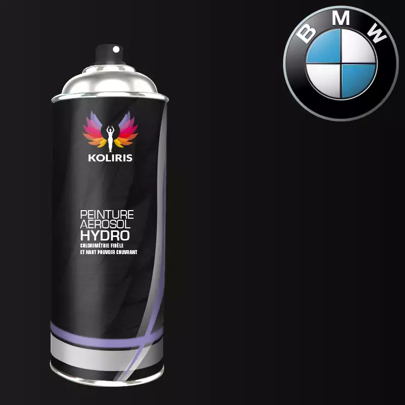 Bombe de peinture voiture hydro Bmw 400ml