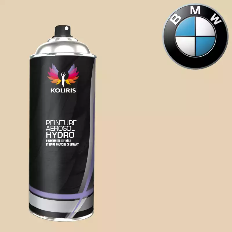 Bombe de peinture voiture hydro Bmw 400ml