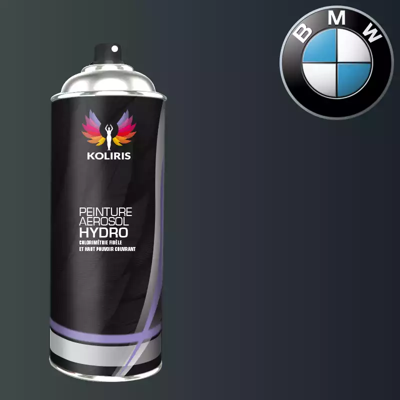 Bombe de peinture voiture hydro Bmw 400ml