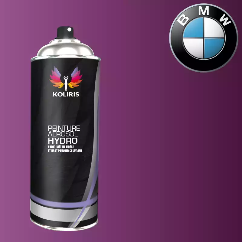 Bombe de peinture voiture hydro Bmw 400ml